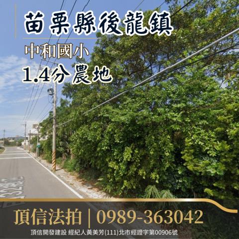 苗栗後龍法拍農地-1