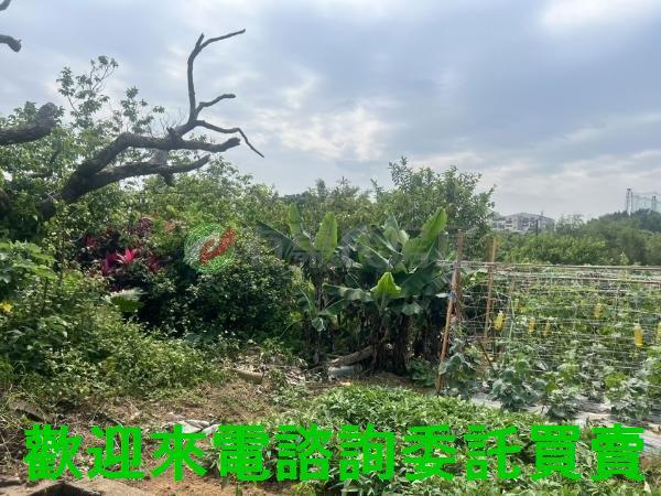 新北淡水都市計畫土地-3