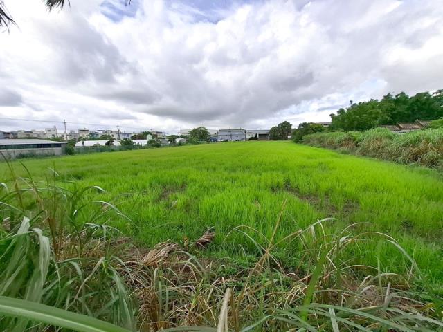 桃園楊梅農地-1