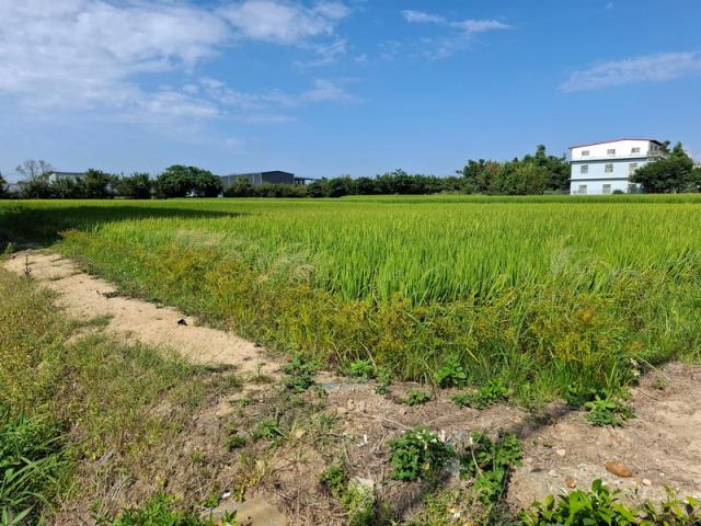 桃園楊梅農地-2