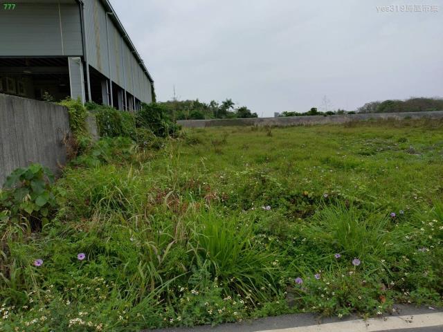 高雄仁武農地-4