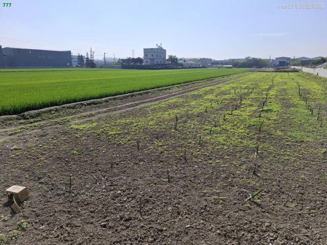 高雄鳥松農地-1