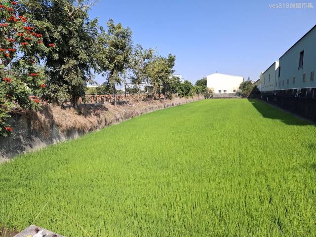 高雄鳥松農地-2