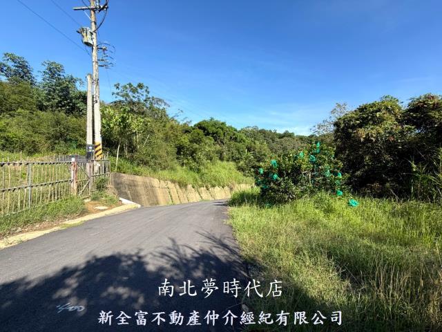 台南新化林地-5