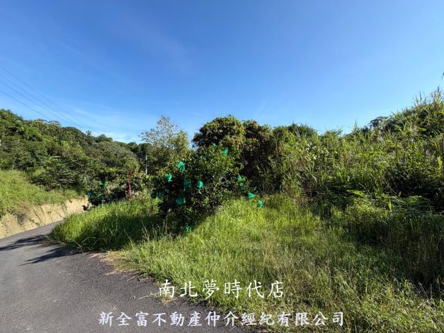 台南新化林地-6