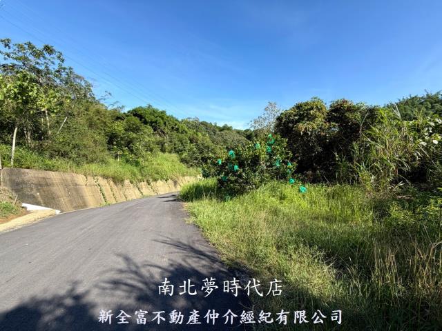 台南新化林地-7