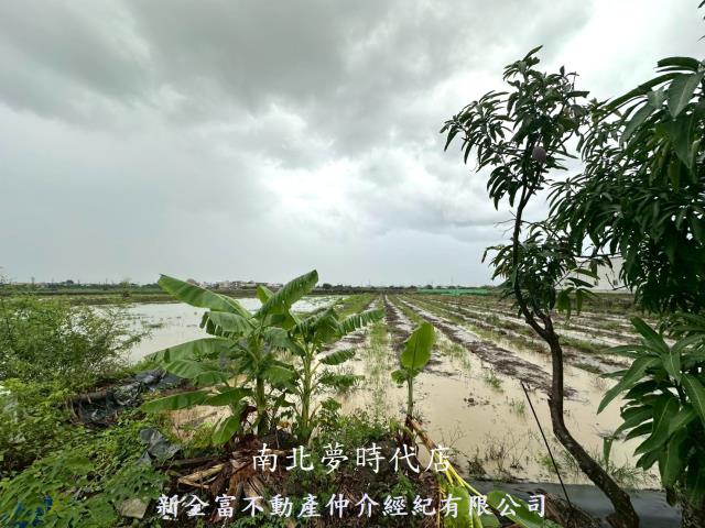 台南鹽水農地-2