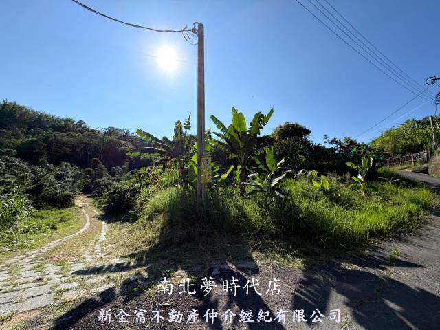 新化林地-2