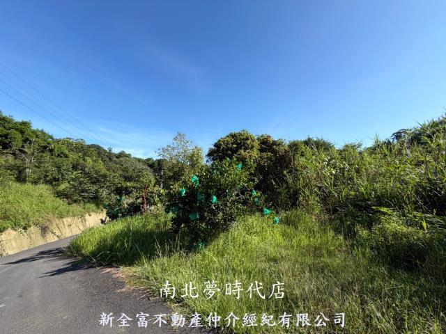 新化林地-7