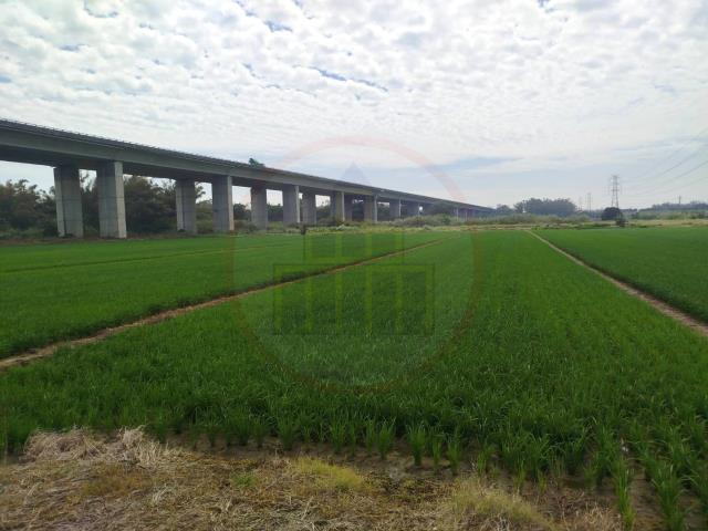 官田農地-2