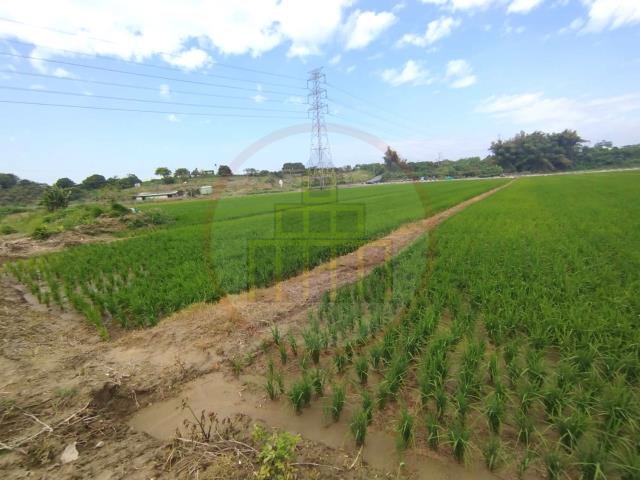 官田農地-3