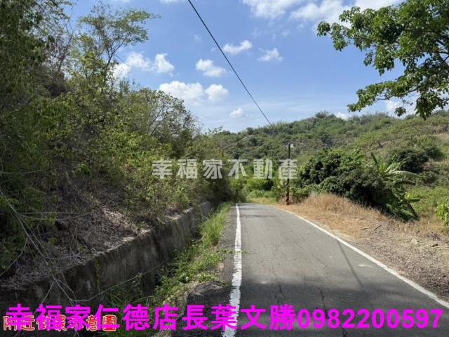 玉井農地-12