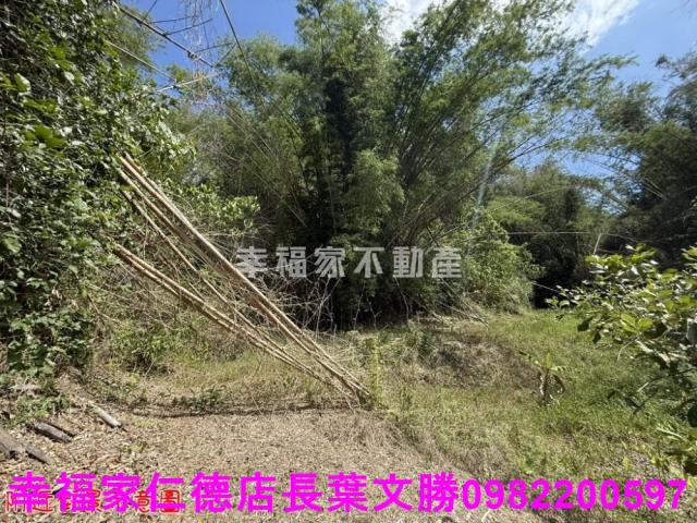 玉井農地-15