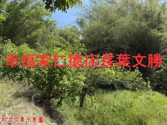 玉井農地-11