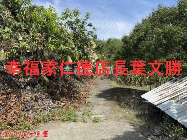 玉井農地-14