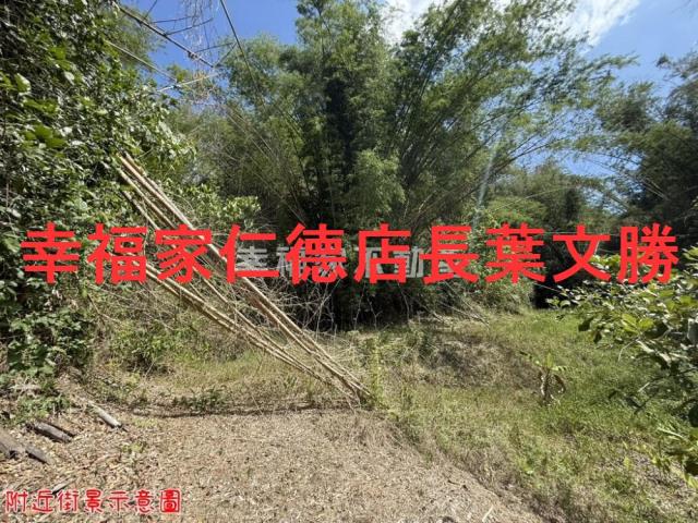 玉井農地-15