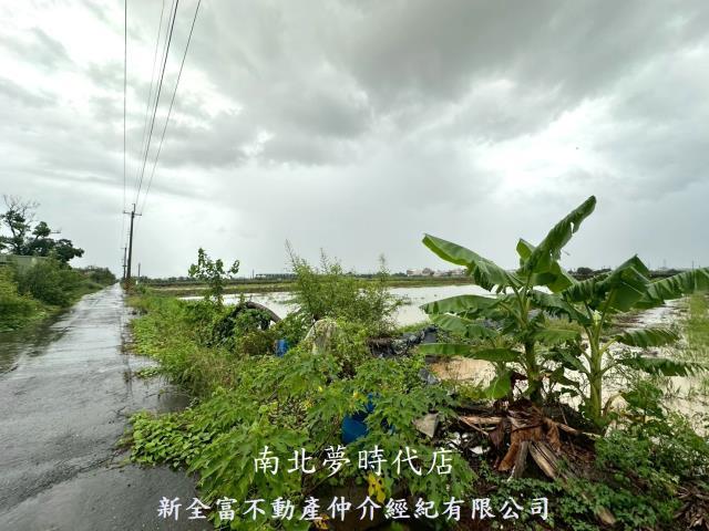 鹽水農地-11
