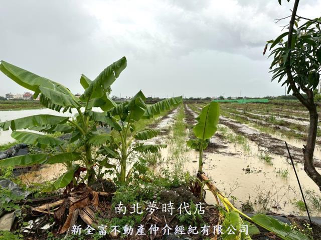 鹽水農地-12