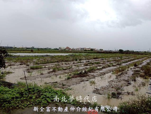 鹽水農地-1