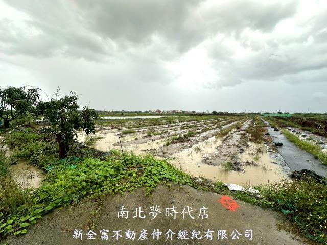 鹽水農地-4