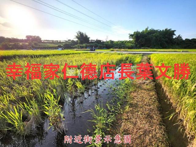 台南農地-5