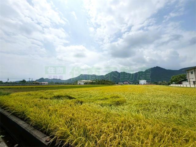高雄美濃農地-2