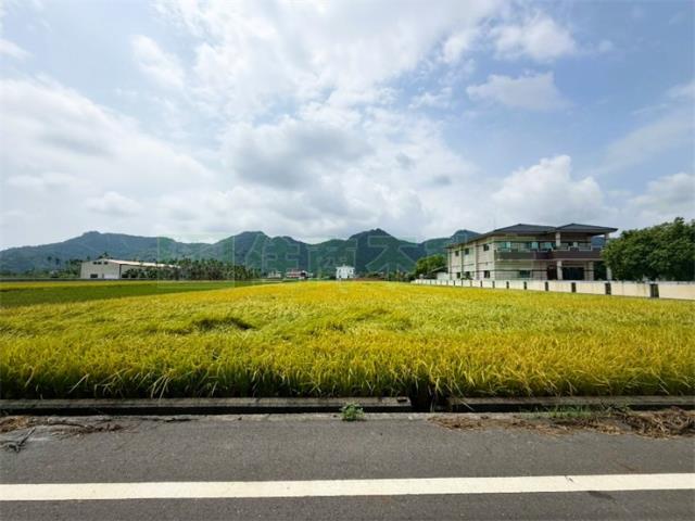 高雄美濃農地-3