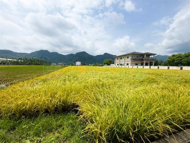 高雄美濃農地-5