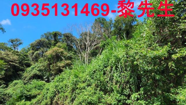 芎林林地-12