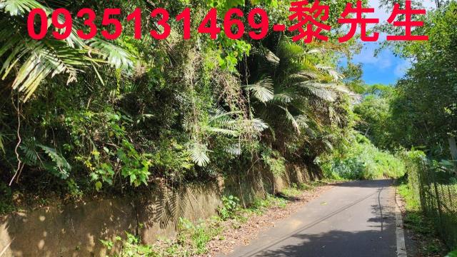 芎林林地-5