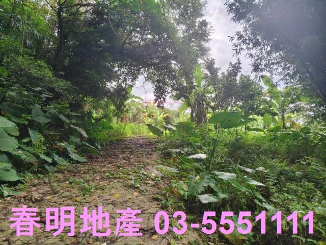關西農地-4