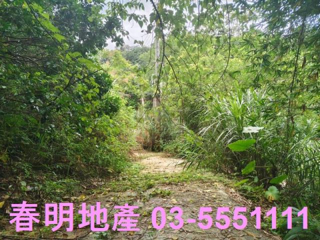 關西農地-6