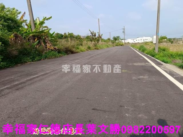 安定農地-1