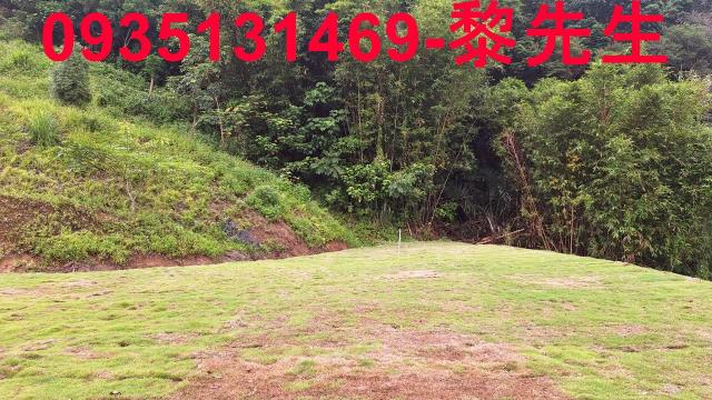 寶山林地-5