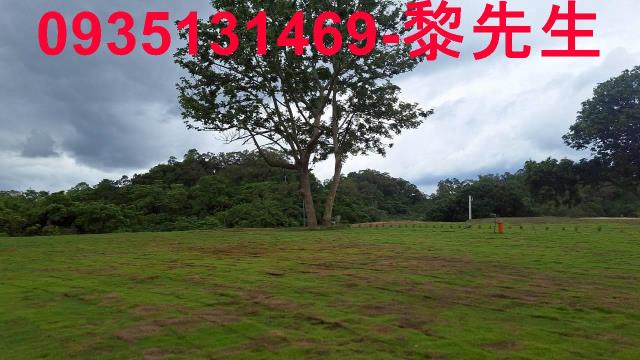寶山林地-7