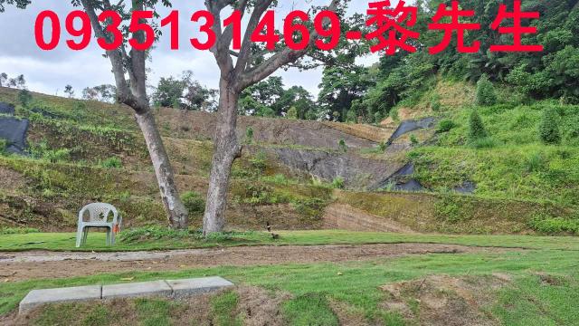 寶山林地-8