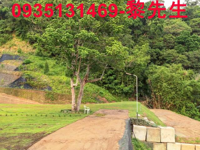 寶山林地-4
