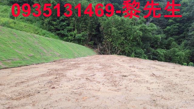 寶山林地-6