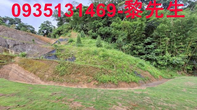 寶山林地-8