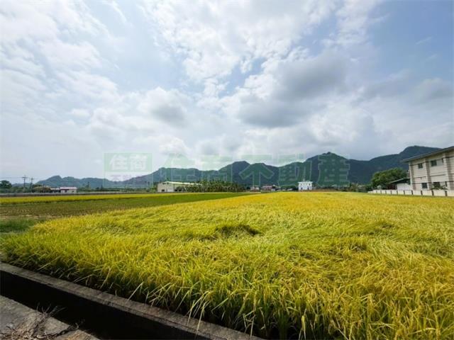 美濃農地-8