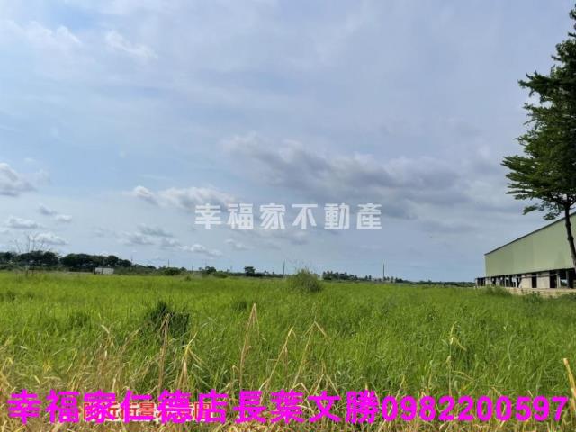台南農地-11
