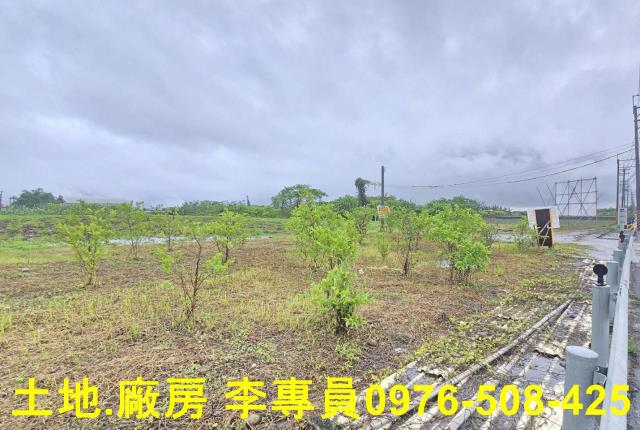 高雄大樹農地-2