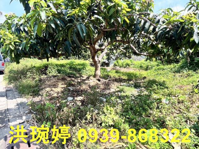彰化芬園住宅地-3