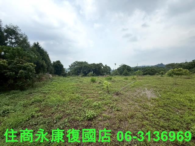 台南東山農地-6