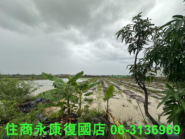 台南鹽水農地-3