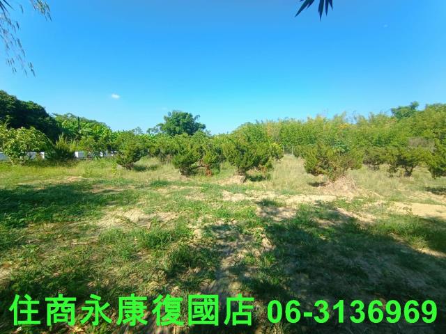 台南歸仁農地-1