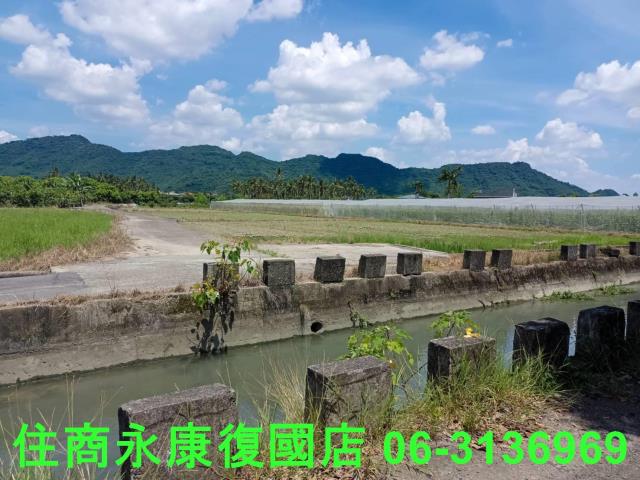 高雄旗山農地-3