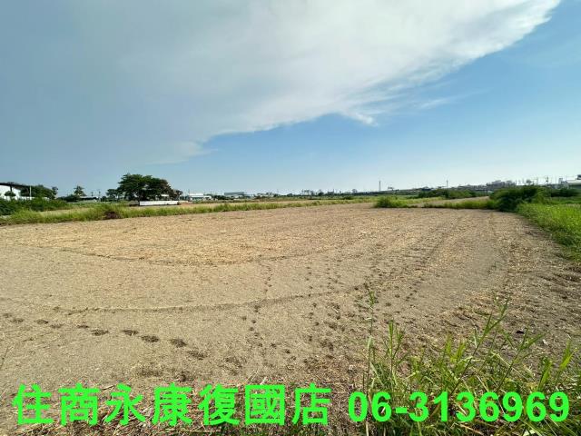 台南仁德農地-6