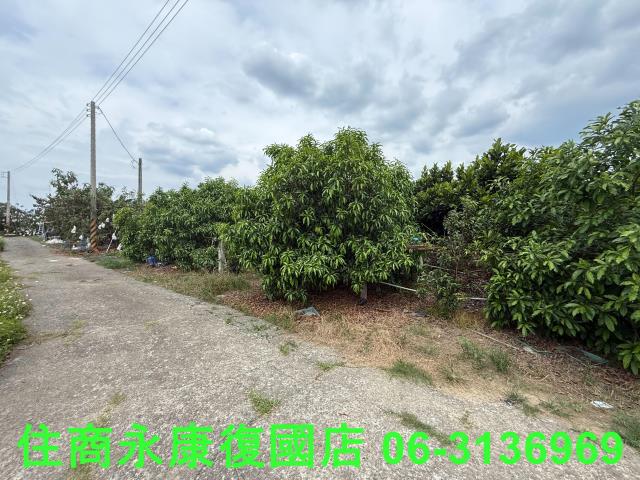台南楠西農地-2