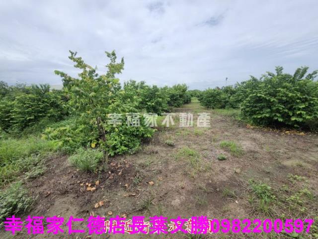台南山上農地-10